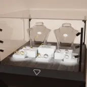 Anwendungsbeispiel der INWI Micro Vitrinenbeleuchtung mit aufgeständerten LED-Spots – präzise Lichtlösung von DWD Concepts